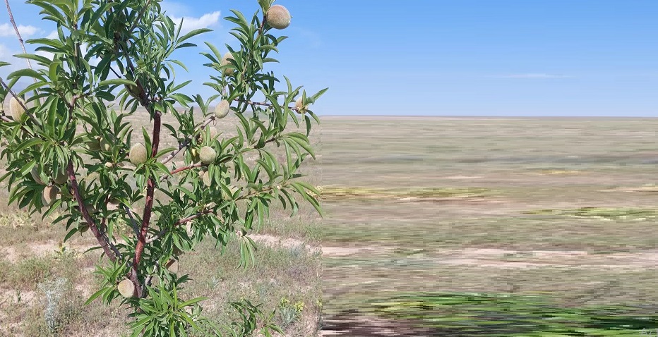 زمین